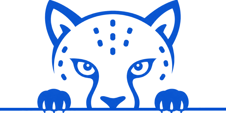 Pranapace logo
